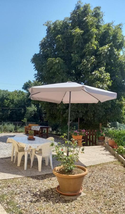 Appartamento Bellavista Castellina Marittima Exterior photo
